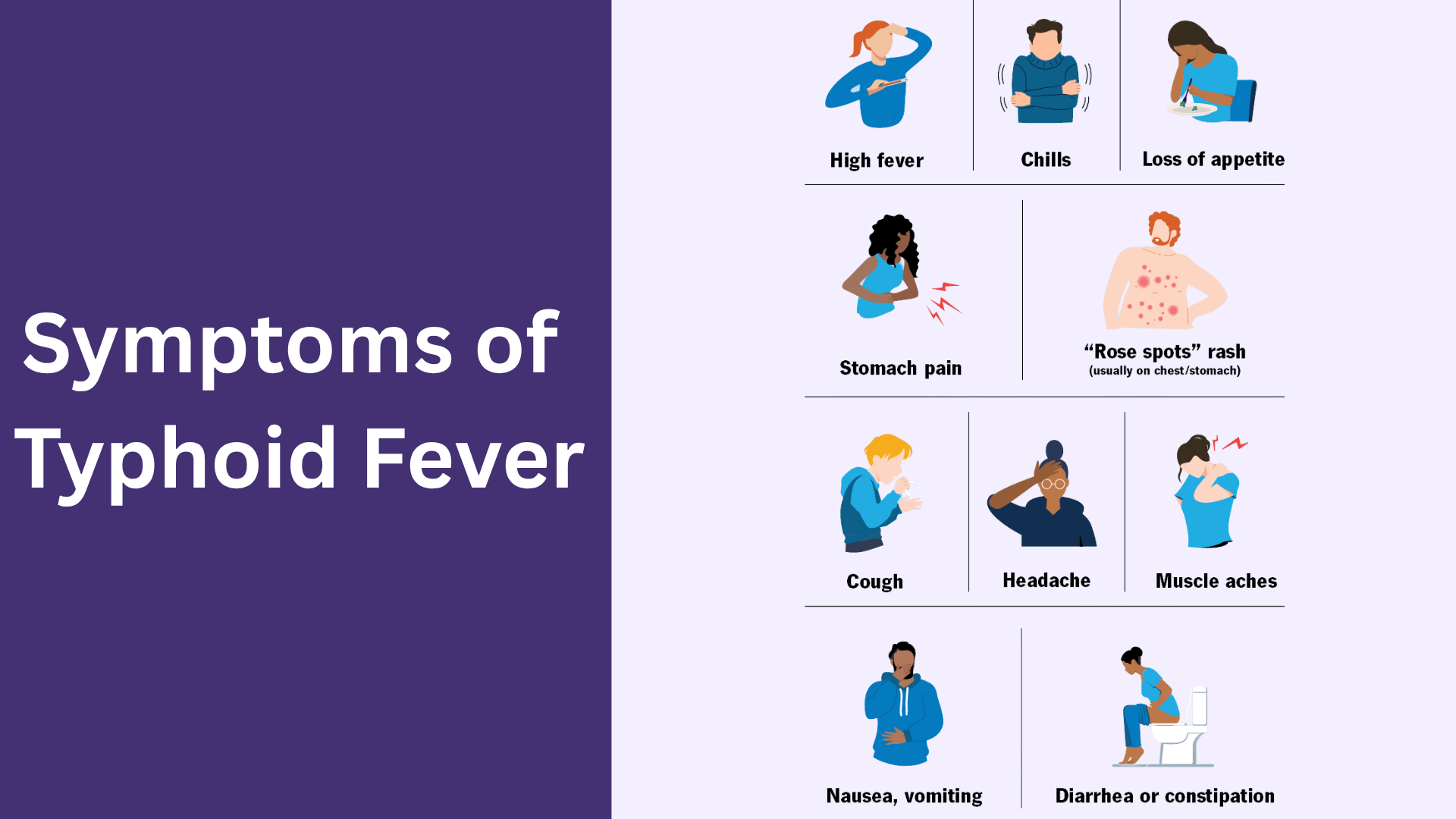 Symptoms of Typhoid Fever